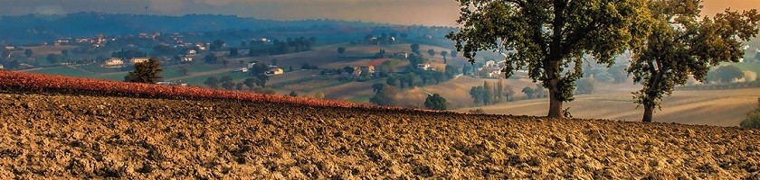 Toprak Rehabilitasyon Hizmetleri 